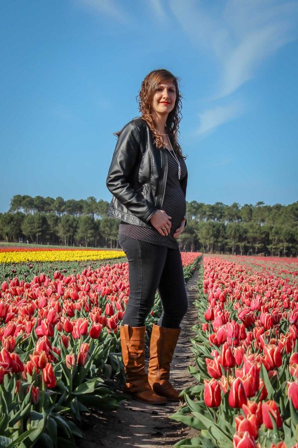 grossesse champs de tulipes