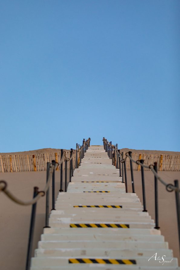 escalier dune du pilat