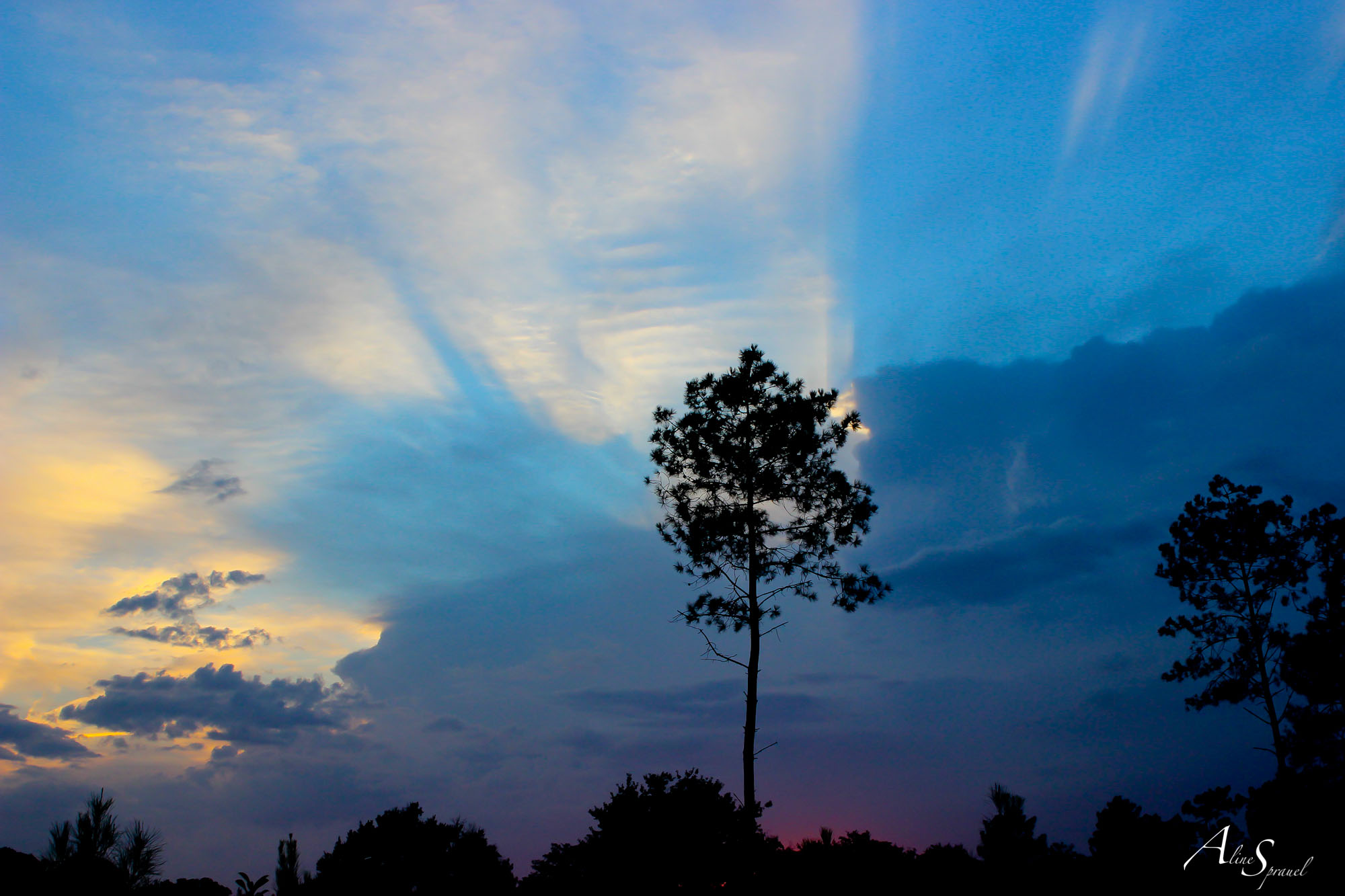 coucher de soleil bleu