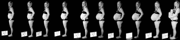 evolution de grossesse mois par mois
