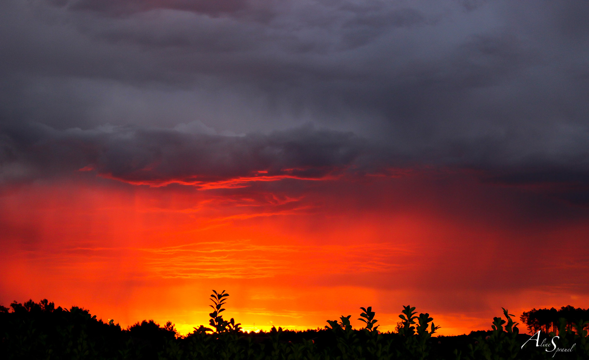 lever de soleil rouge dans les landes