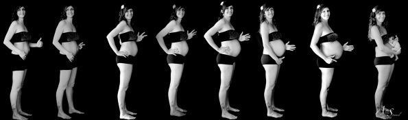 mois par mois grossesse évolution