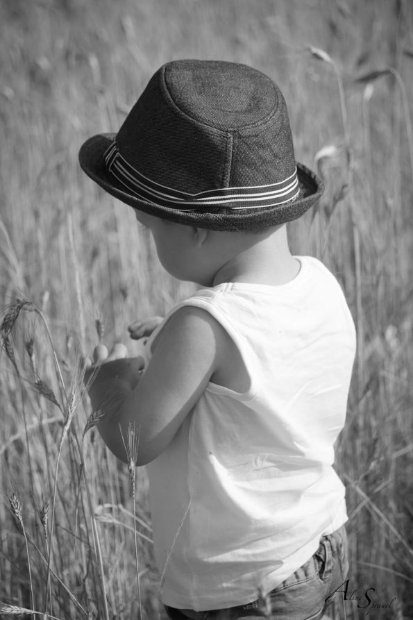 petit garçon dans les blés