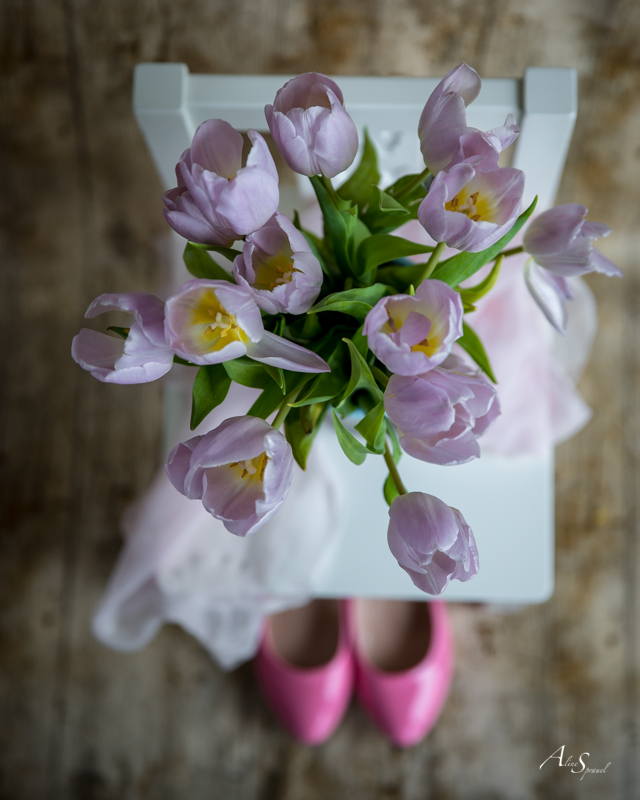 illustration landes bouquet