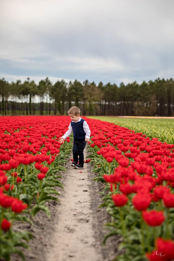 enfant tulipes