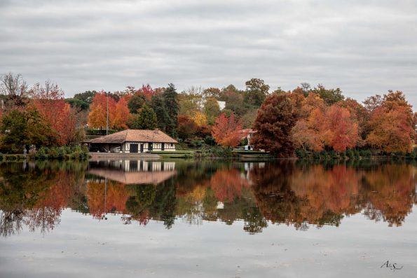 lac reflet automne