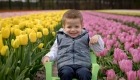enfant-tulipes