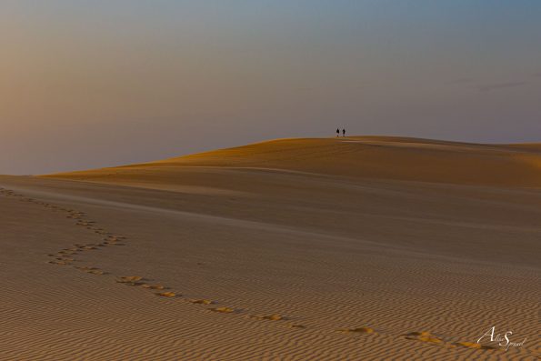 desert dune du pilat