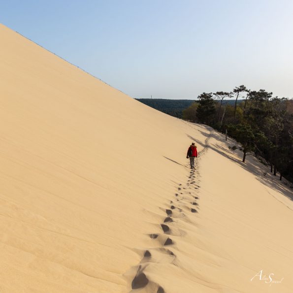 marcher sable dune