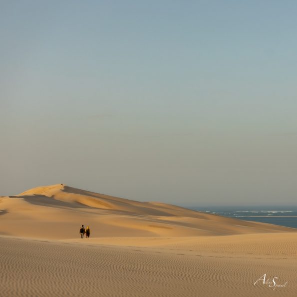 marcheurs sur la dune