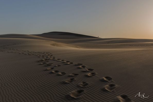 pas sable dune pilat