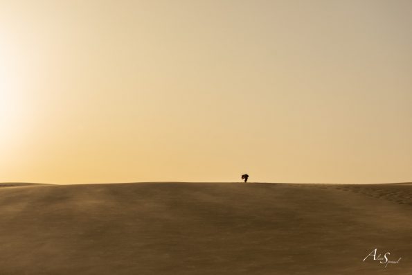 photographe dune du pilat