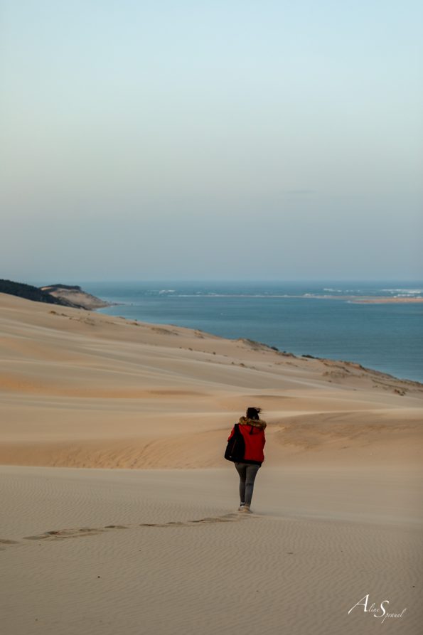 sable dune bassin d arcachon