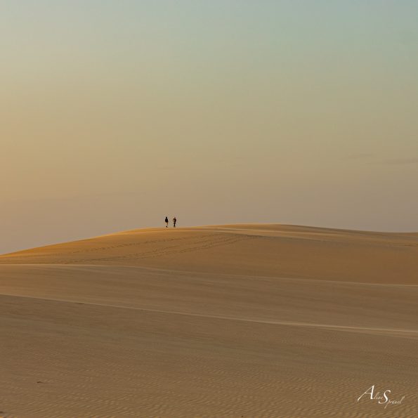 sable sommet dune