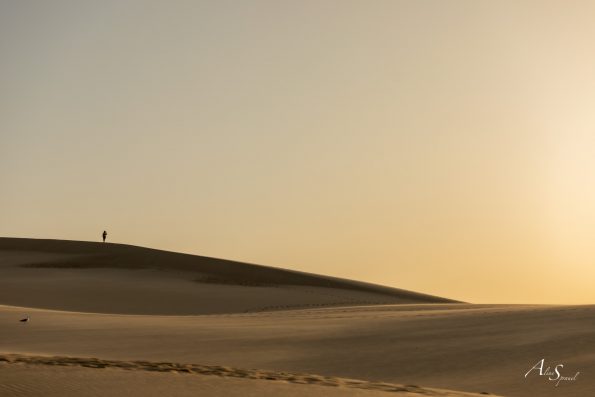sable sommet dune du pilat