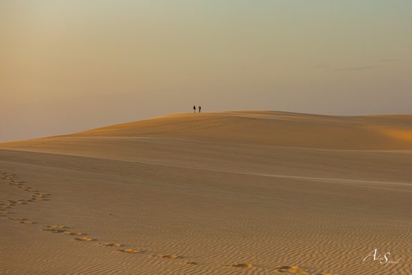 sable sommet dune pilat