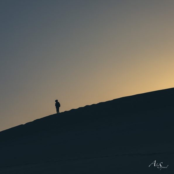 silhouette dune