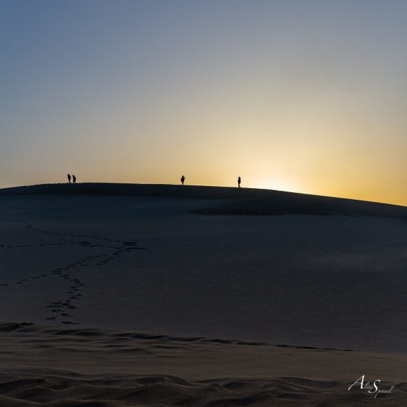 silhouettes dune