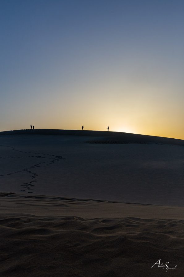 silhouettes dune pilat