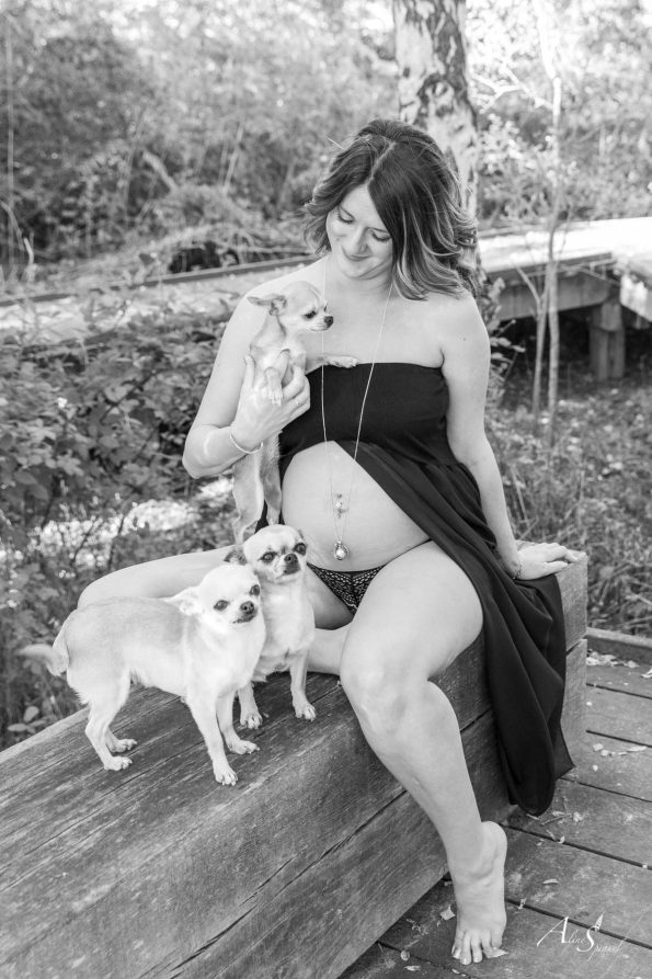 grossesse avec chien