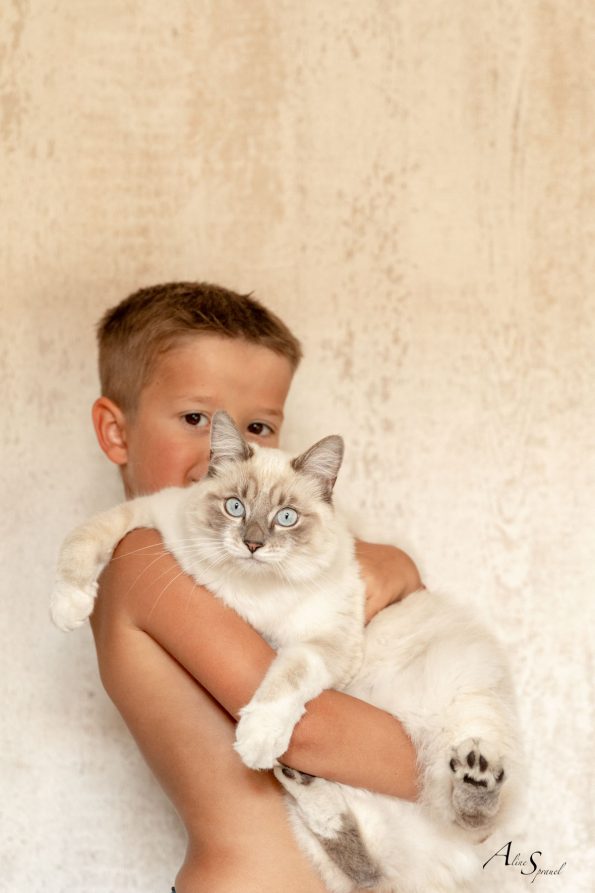 photographe landes chat