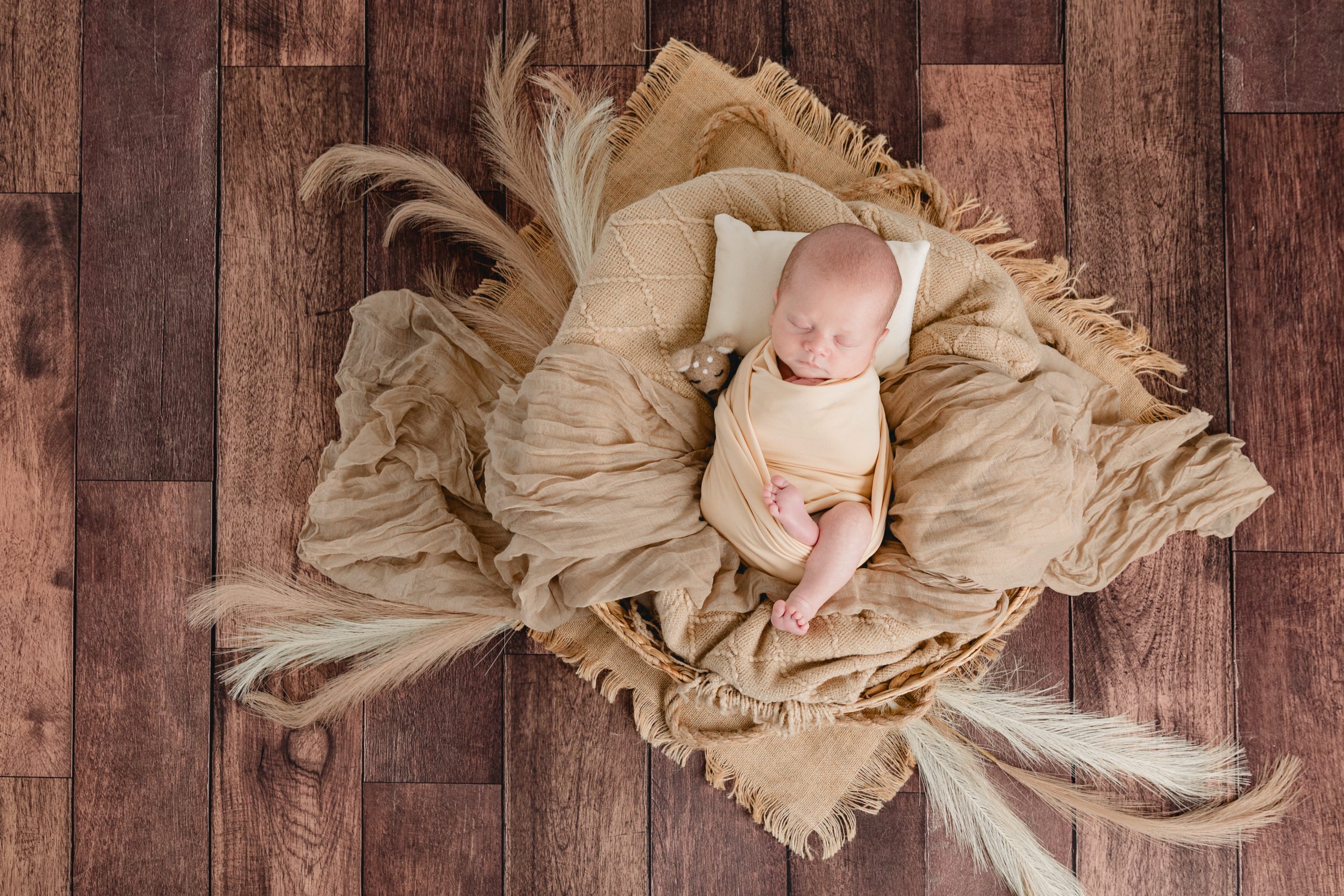 photographe bebe landes studio