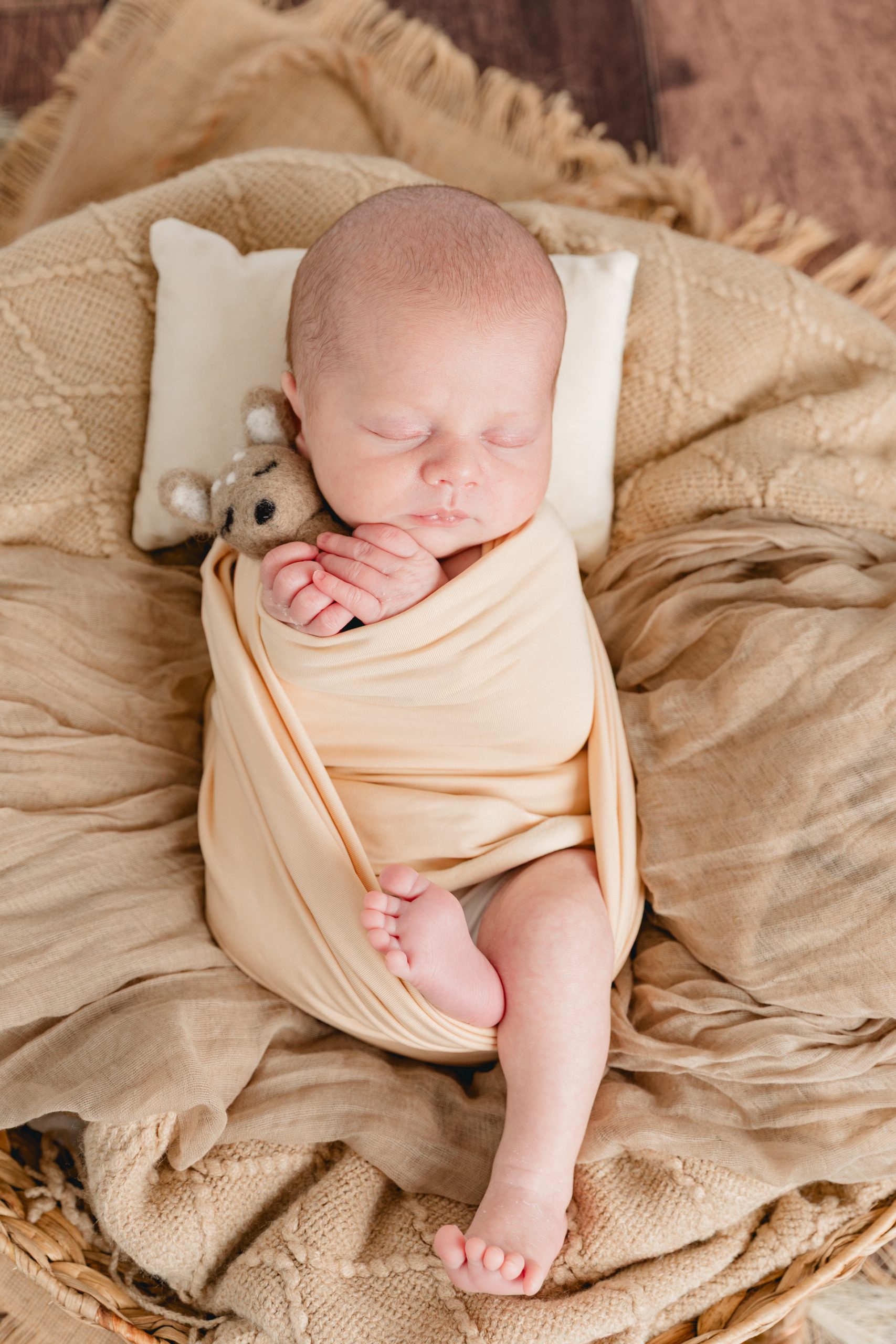 photographe bebe landes studio