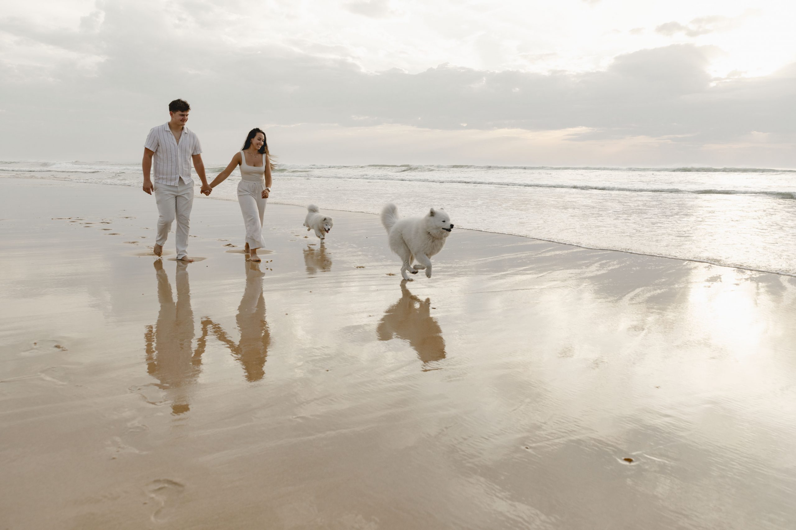 photographe-chien-landes