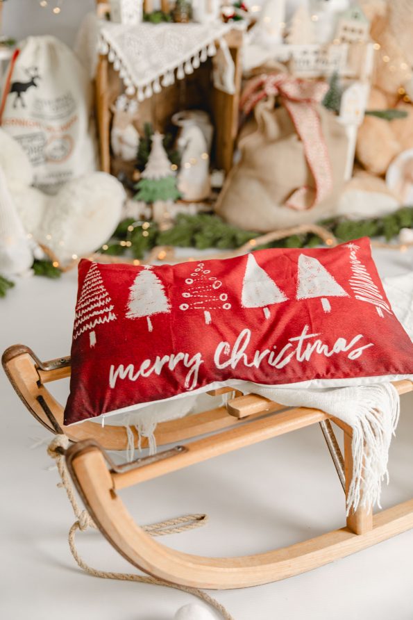 photographe noel landes