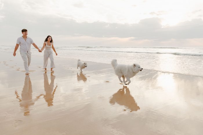 photographe-chien-landes