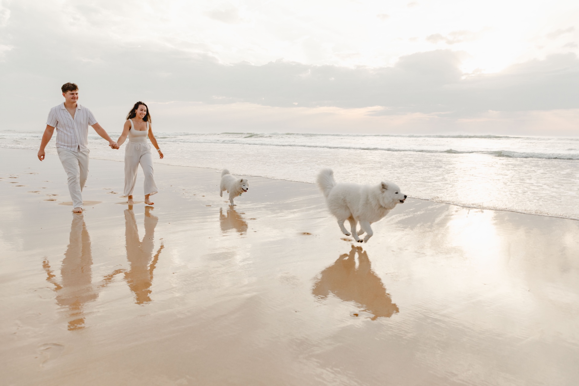 photographe-canin-plage-landes
