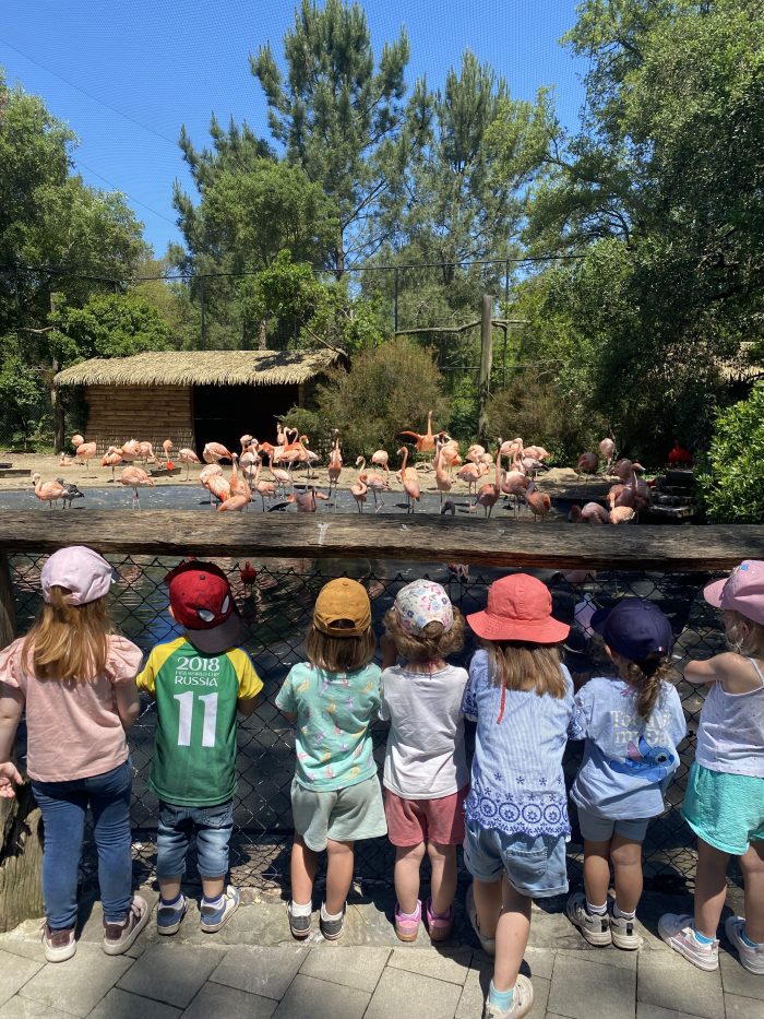 ZOO LABENNE