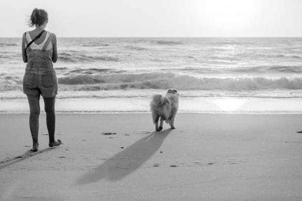 photographe-chien-landes