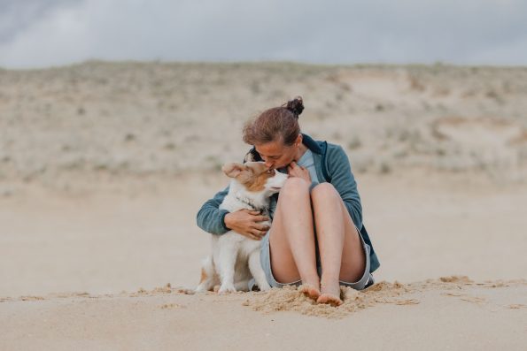photographe-chien-landes