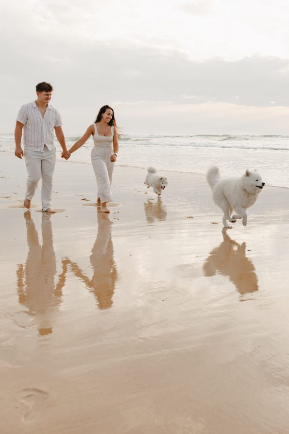 photographe-canin-landes