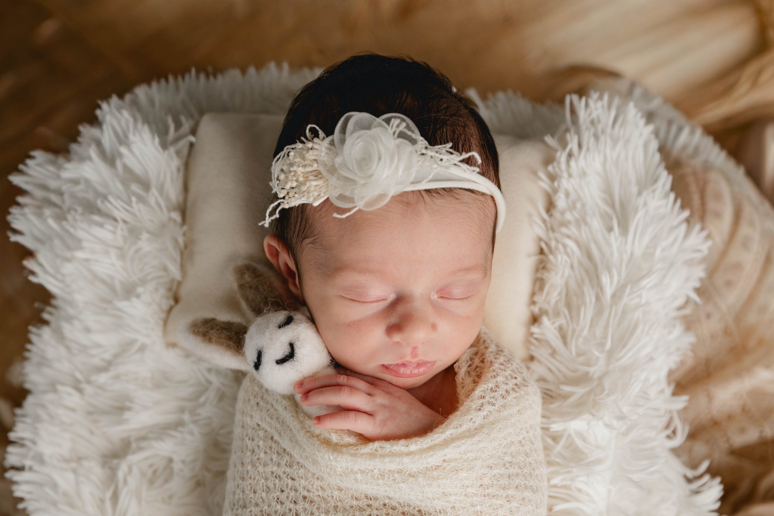 photographe-bebe-landes-domicile
